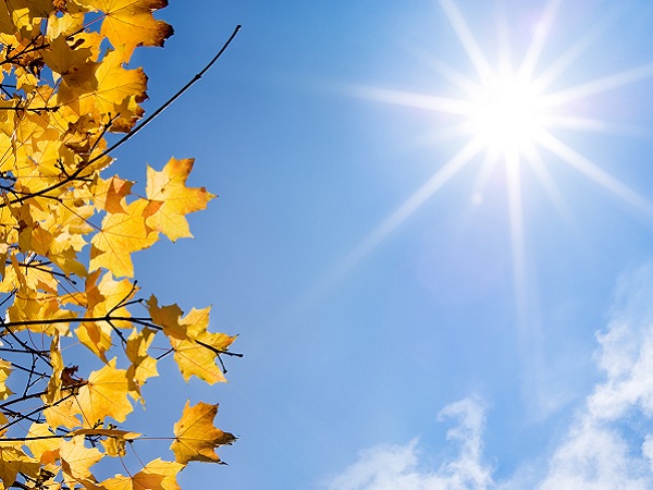 Link do artikul: Ochrony Klimatu Climate protection in Brandenburg