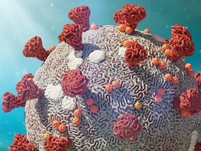 Link zum Beitrag: Informationsangebot des MLUK zu Corona Teaser Coronavirus