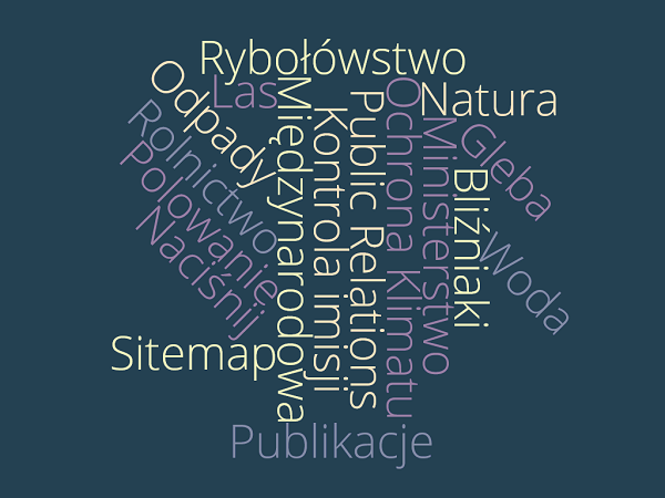 Link do artikul: Przeglad strony Polnische Wortwolke